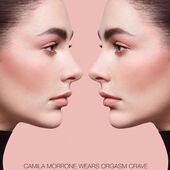 nars the multiple mini duo